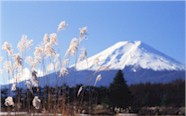 Colorado Health Insurance Brokers News